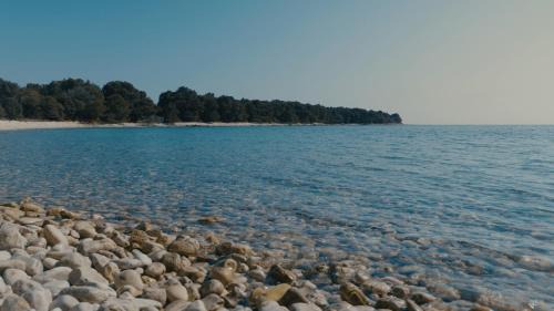 Barbariga Villa | Villa Kalista Istriana for 10 people with private pool & sea view