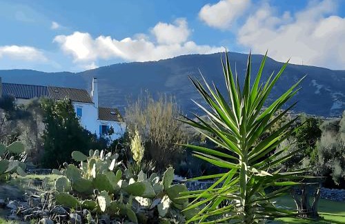 Nerezine House | Villa Karolina Großes Ferienhaus Meerblick 2000qm Garten Familien Gruppen Insel Lošinj