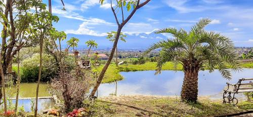 Dinoyo Villa | Villa Kebun Jeruk Syariah Malang by ecommerceloka