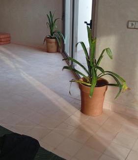 Sidi Kaouki Villa | Villa Khadija