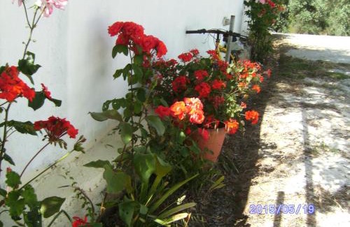 Skiathos Town Apartment | Villa Krini