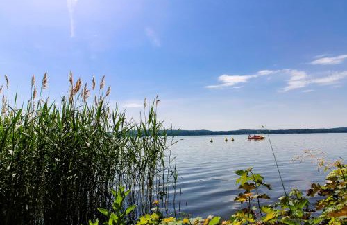 Bad Saarow Apartment | Villa Kurpark Bad Saarow