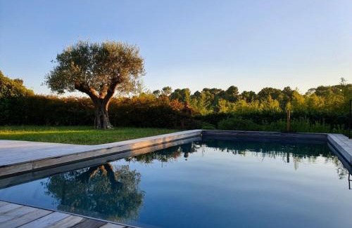 Roquefort-les-Pins Apartment | Villa l’Ensoleillée