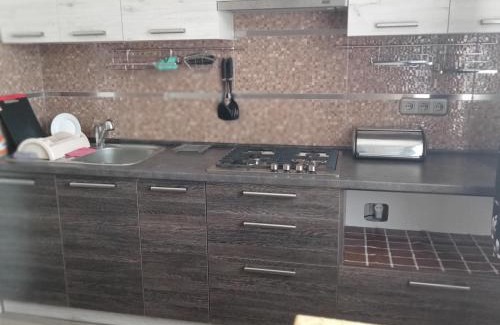Truskavets House | Villa L'vovskaia