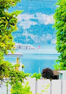Leissigen Apartment | Villa Lakeview Appartment Tomori