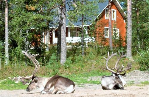 Rovaniemi Villa | Villa Lapintiira