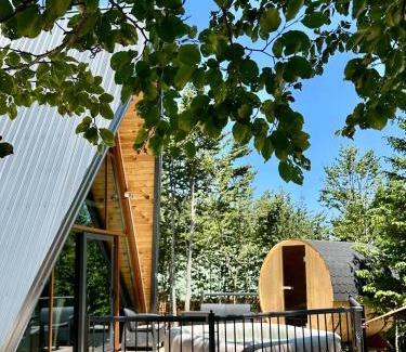 Zabljak Villa | Villa Lazar