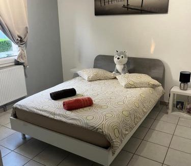 Andrezieux-Boutheon Villa | Villa le jasmin