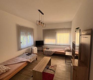 Novi Becej House | Villa Leon