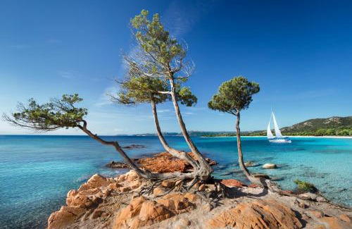 Hameau de Palombaggia Resort | Villa Les Lieges de Palombaggia