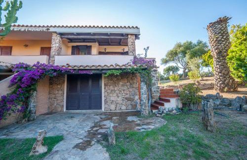 Pittulongu House | villa lilly