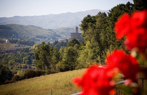 Poppi Villa | VILLA LIZ, private pool, private hot tub, park fenced, close to Florence