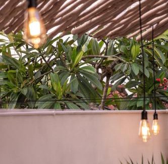 Padonan Villa | Villa Lotus - 1BR Canggu Villa with private pool - Near Wanderlust, Soma and BaliMMA
