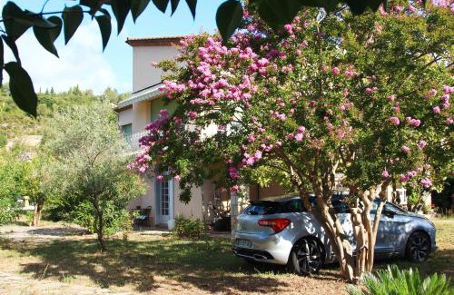 Bedarieux Apartment | Villa Loudéro