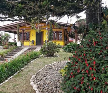 Silvia Bed & Breakfast | villa luz de vida
