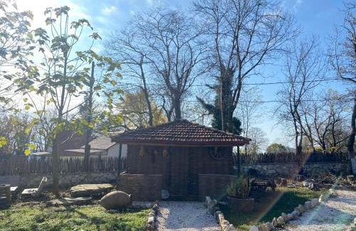 Zeda Gordi Hotel | Villa Maimari