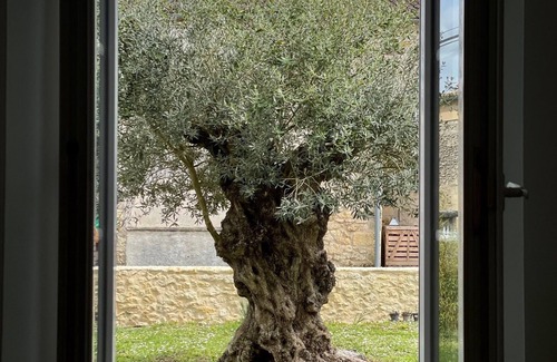 Montagne Villa | Villa Maison Cantalupo Piscine Sel Chauffée Clim 5 min St Emilion