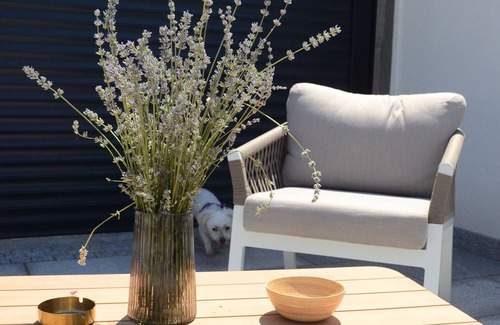 Novi Beograd Villa | Villa Marbella: Where Comfort Meets Class in the Heart of Belgrade