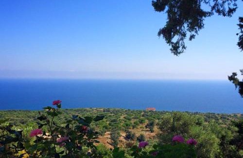 Kayalar Villa | Villa Mare