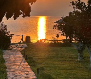 Melissopetra House | Villa Maria