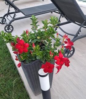 Biograd na Moru Villa | Villa Marina