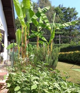 Venegono Superiore House | Villa Mary