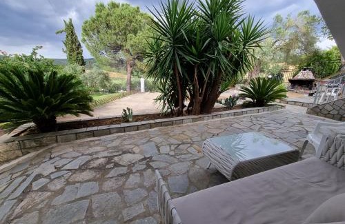 Vatopedi Villa | Villa Milenitta