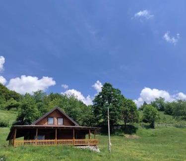 Pejë Villa | Villa N'Malaj