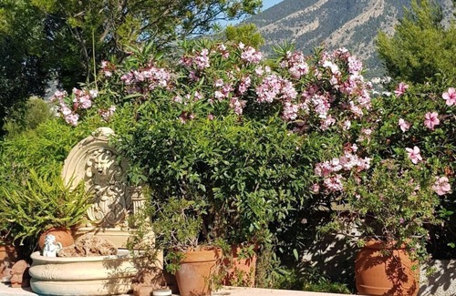L'Alfas del Pi Villa | Villa Naranjo Comfortable holiday residence