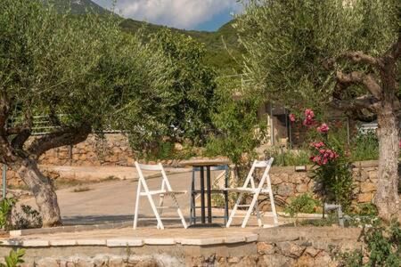 Diasella House | Villa Needa's - New Hope Poolside Studio