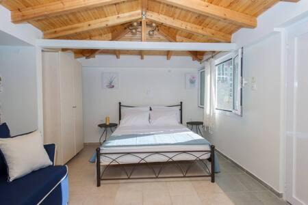 Diasella House | Villa Needa's - New Hope Poolside Studio