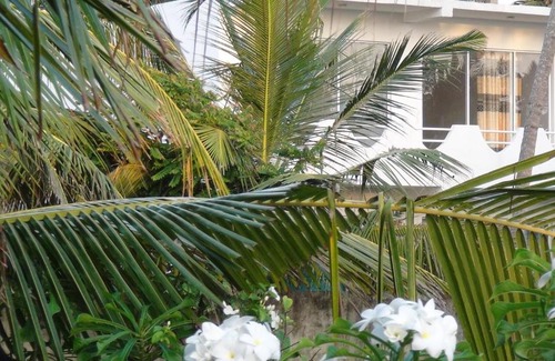 Kammala House | Villa Nemo