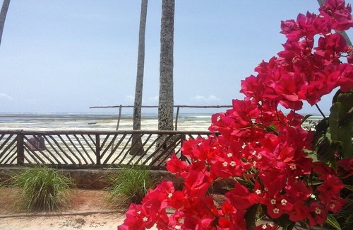 Kiwengwa Villa | Villa Noah Beach