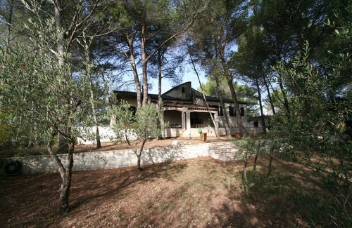 Teyran Villa | Villa on 2700m² of pine forest located atop a Mediterranean village