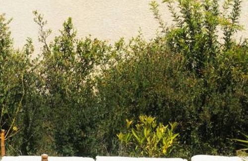 Combaillaux Villa | Villa Orianne - Traditional villa with pool with stunning views