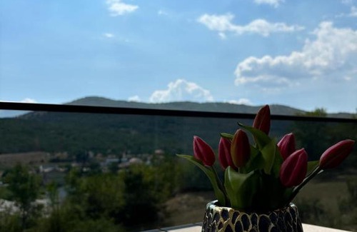 Trn Apartment | Villa Panorama Rakitno
