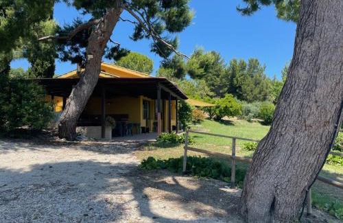 Sirolo Villa | Villa Panorama Sirolo