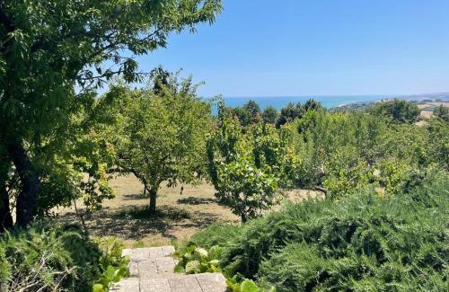 Sirolo Villa | Villa Panorama Sirolo