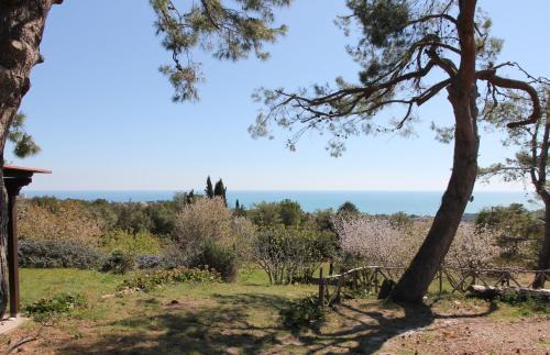 Sirolo Villa | Villa Panorama Sirolo