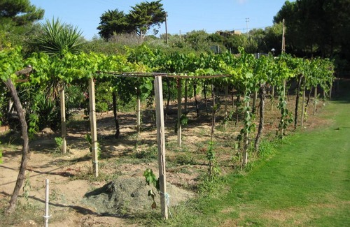 Alghero Apartment | Villa Paradiso