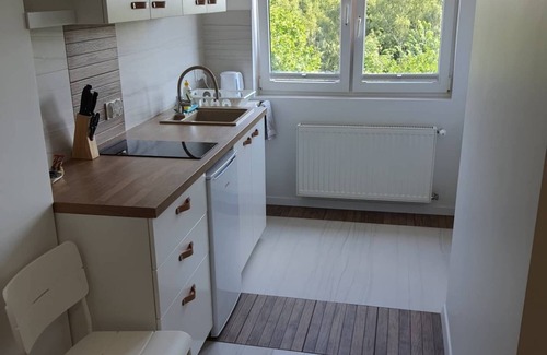 Wzgorze Swietego Maksymiliana House | Villa, parks, beaches, sea, forest