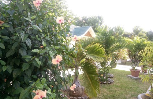 La Digue Villa | VILLA PAYANKE (Chalets Anse Reunion) - 2 to 4 people - close to the beach