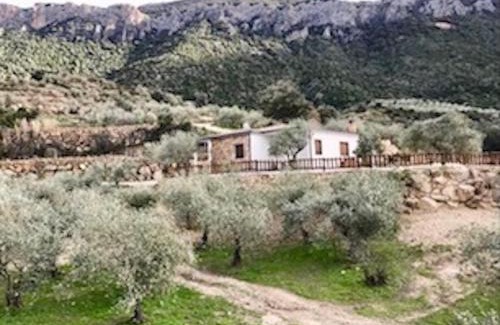 Dorgali Villa | Villa Pietra, immersa nel verde. Area relax e BBQ