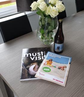 De Panne House | villa Pinson