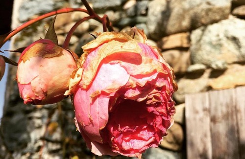 Anthy-sur-Leman Bed & Breakfast | Villa plage Chantrell