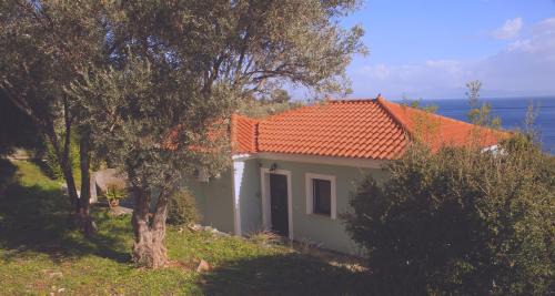 Kerveli Apartment | Villa Platanaki