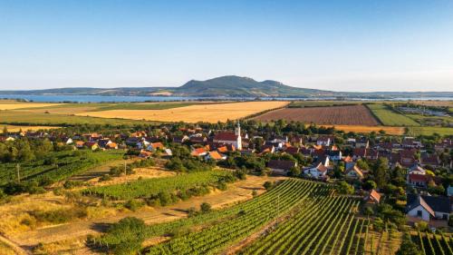 Popice Villa | Villa Popice s výhledem na Pálavu