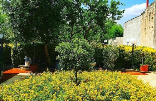 Sanarica House | Villa Raffaela