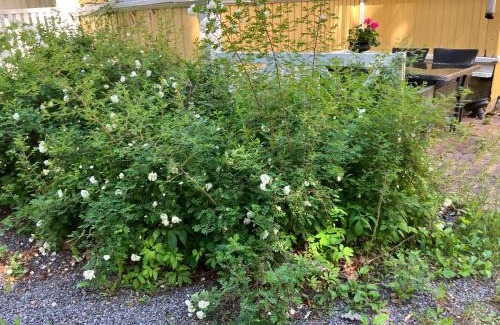 Naantali Old Town House | VILLA REBECCA