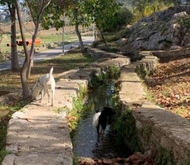Cuevas del Becerro House | Villa Remedios